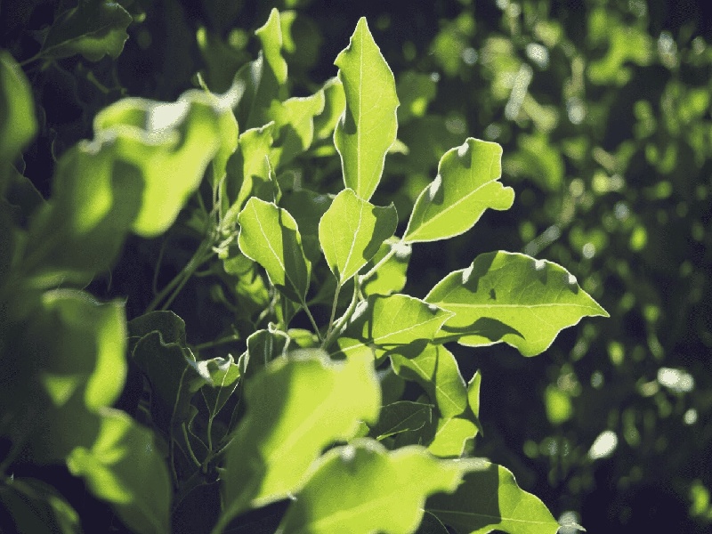 试管报销 怎么申请，南宁试管骗局曝光