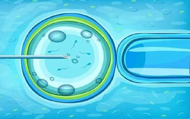 试管需要查乙肝代生